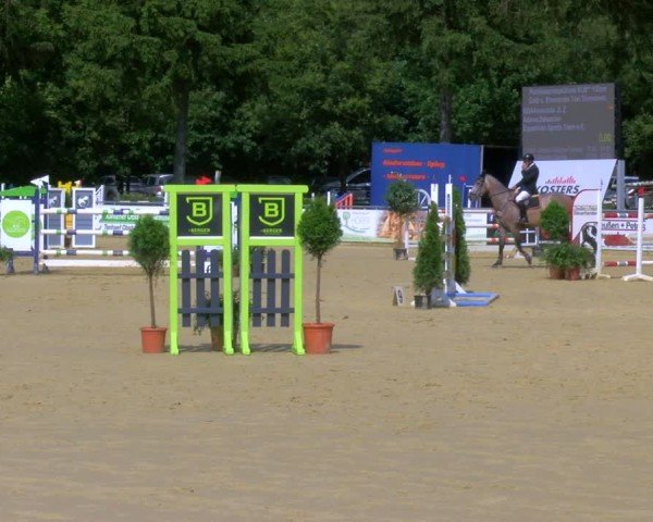Reitturnier Sonsbeck 2024