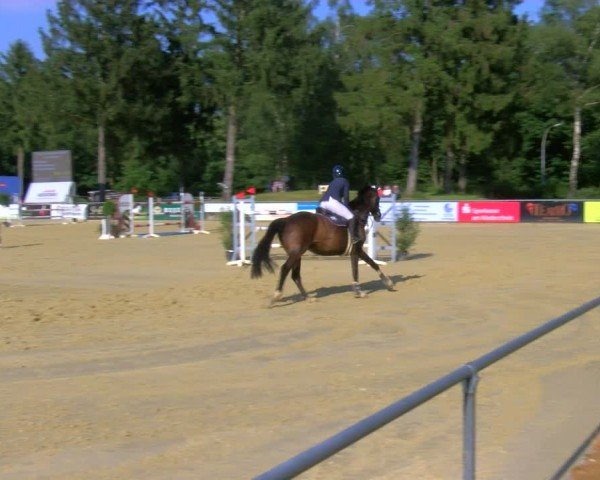 Reitturnier Sonsbeck 2024