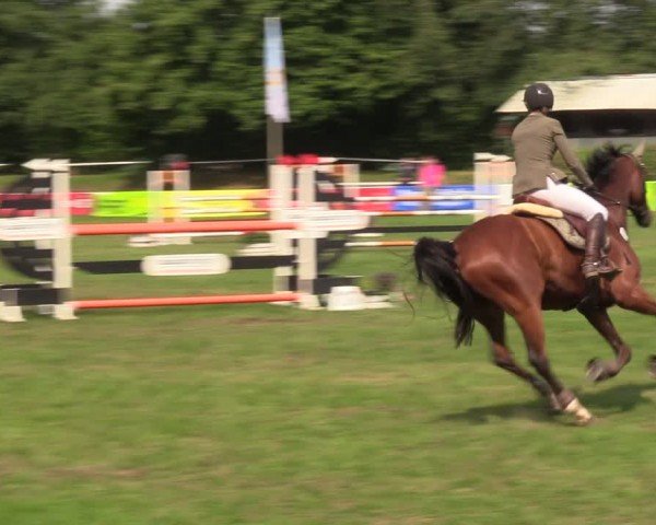 Reitturnier Nienburg 2024