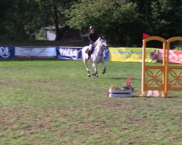 Reitturnier Nienburg 2024