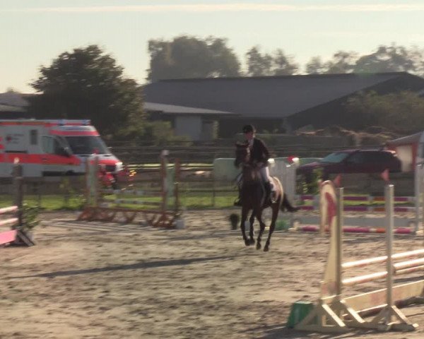 Reitturnier Schülp / Rendsburg 2021