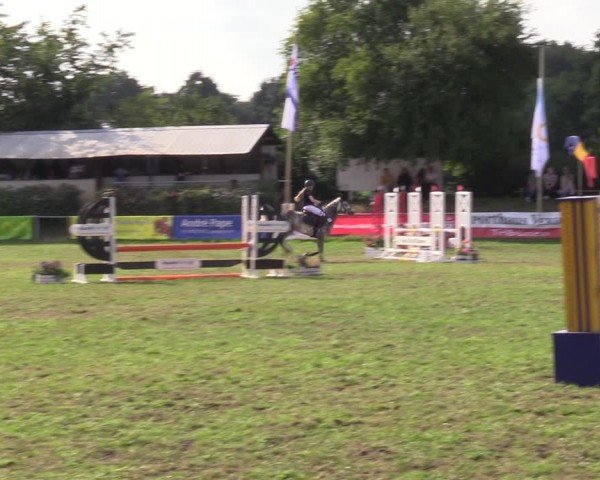 Reitturnier Nienburg 2024