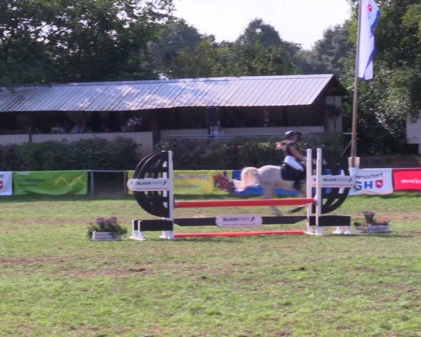 Reitturnier Nienburg 2024