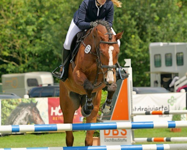 Laurie Walzel