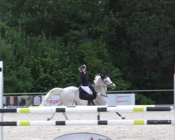 Reitturnier Mitwitz/Ofr. 2024