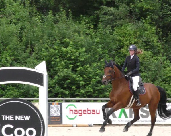Reitturnier Mitwitz/Ofr. 2024