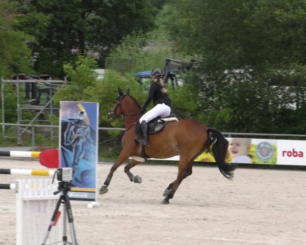 Reitturnier Mitwitz/Ofr. 2024