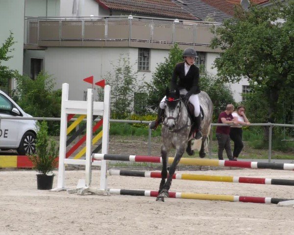 Reitturnier Mitwitz/Ofr. 2024