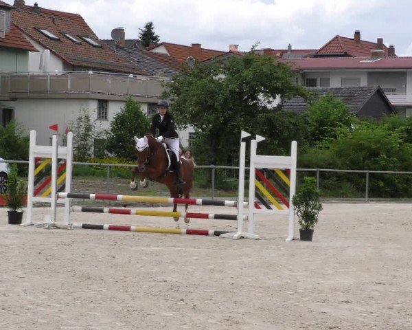 Reitturnier Mitwitz/Ofr. 2024