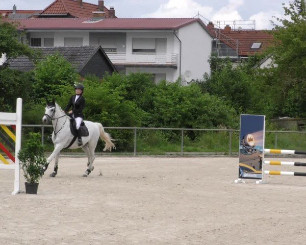 Reitturnier Mitwitz/Ofr. 2024
