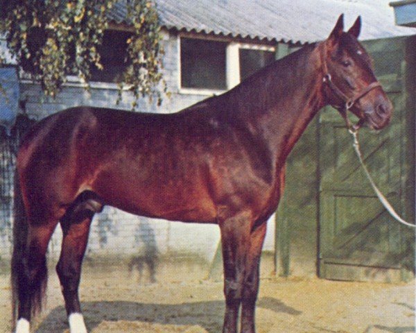 Deckhengst Royal Hanover (US) (Amerikanischer Traber, 1961, von Dean Hanover US-71679 (ex Mr Watt))