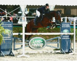 Springpferd Anakonda 50 (Großbritannien Pony, 0000)