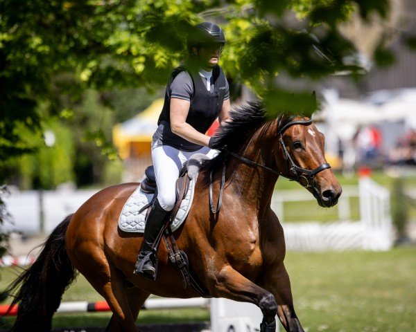jumper Da Valor (Oldenburg, 2018, from Dimagico)