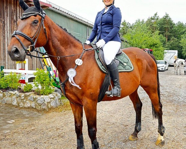 jumper Spanish Day xx (Irish horse, 2014, from Fastnet Rock xx)