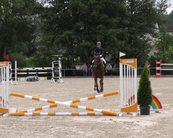 Reitturnier Mitwitz/Ofr. 2024
