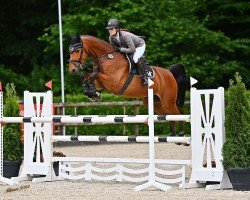 jumper Chakira 74 (Westphalian, 2016, from Chacco's Son II)