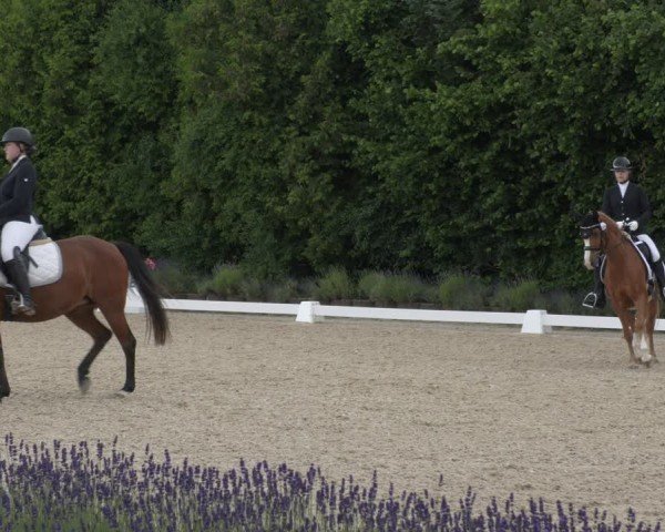 Reitturnier Lindlar - Reitanlage Dückers 2024