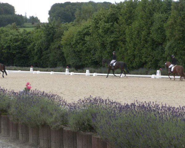 Reitturnier Lindlar - Reitanlage Dückers 2024