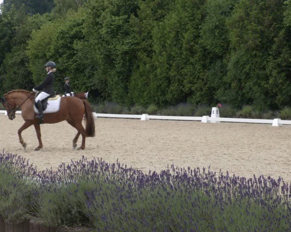 Reitturnier Lindlar - Reitanlage Dückers 2024