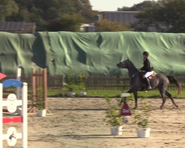 Reitturnier Schülp / Rendsburg 2021