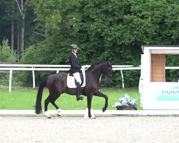Reitturnier Grüningen 2024