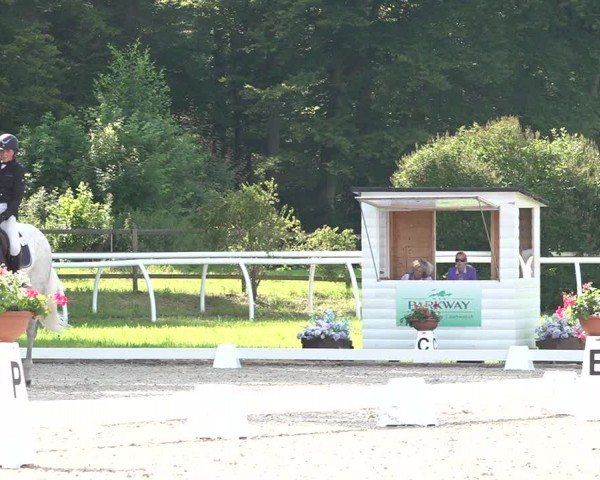 Reitturnier Grüningen 2024