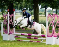 dressage horse Rhencullen Popette (Welsh, 2013)