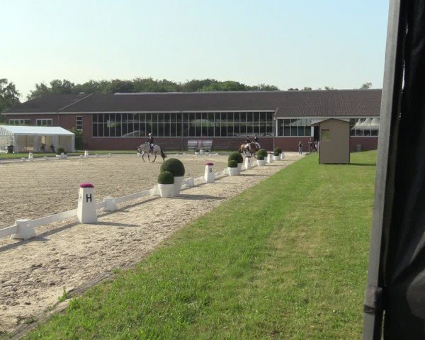 Reitturnier Langenfeld 2024
