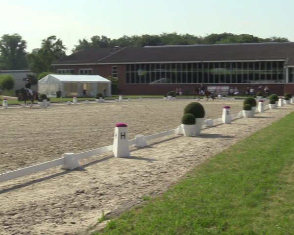 Reitturnier Langenfeld 2024
