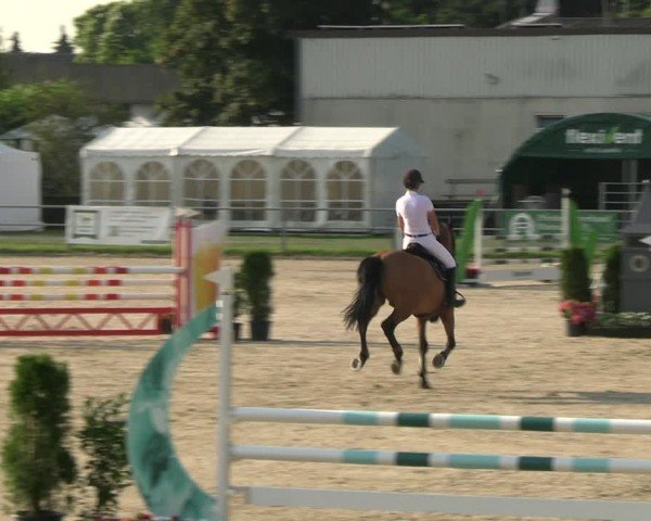 Reitturnier Langenfeld 2024
