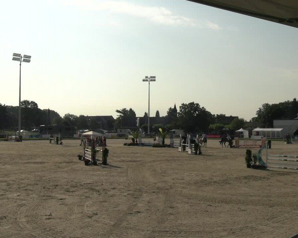 Reitturnier Langenfeld 2024