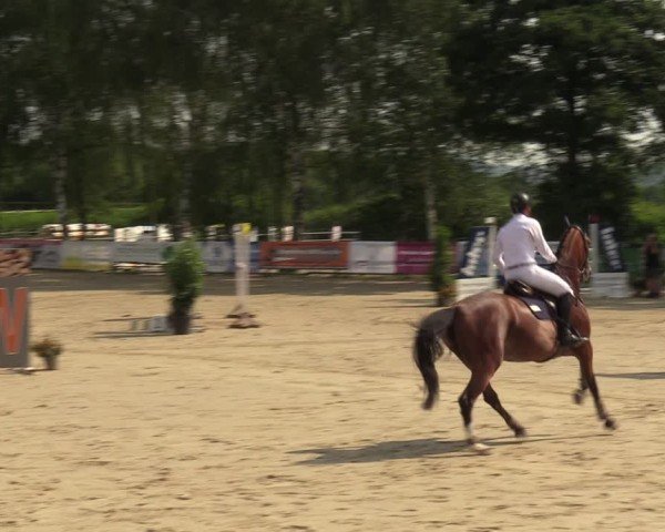Reitturnier Schwerte-Gut Kückshausen 2024