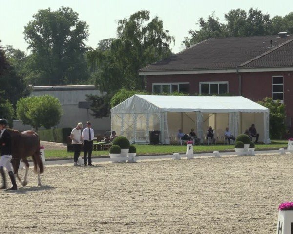 Reitturnier Langenfeld 2024