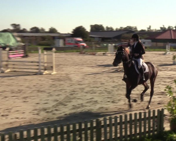 Reitturnier Schülp / Rendsburg 2021