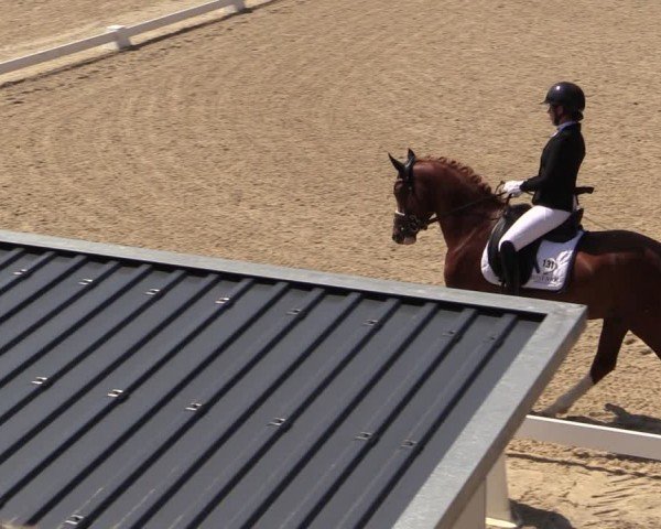 Reitturnier Uder, Reitanlage Kobold 2024