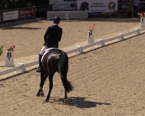Reitturnier Uder, Reitanlage Kobold 2024