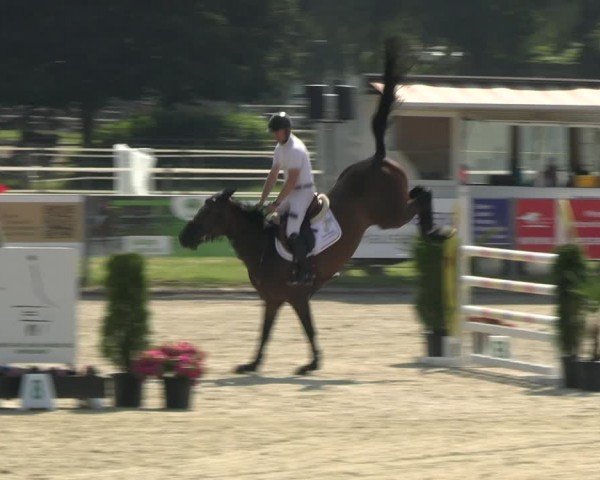 Reitturnier Langenfeld 2024