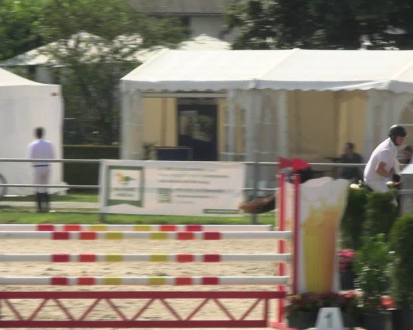 Reitturnier Langenfeld 2024
