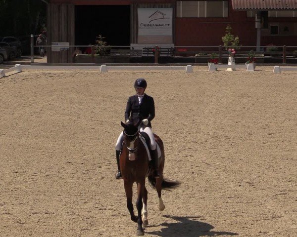 Reitturnier Uder, Reitanlage Kobold 2024