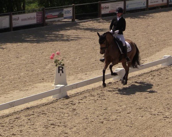 Reitturnier Uder, Reitanlage Kobold 2024