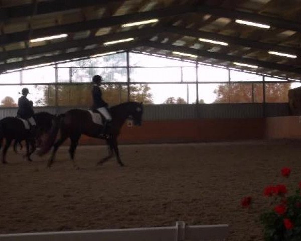 St. Georg Marl 2012