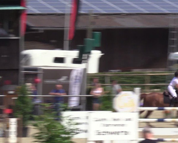 Reitturnier Schwerte-Gut Kückshausen 2024