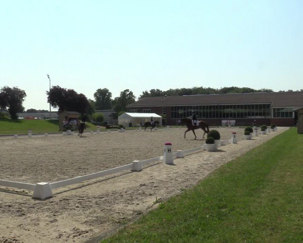 Reitturnier Langenfeld 2024