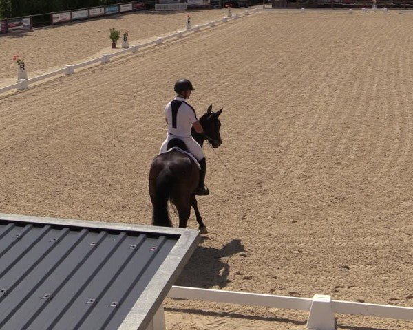 Reitturnier Uder, Reitanlage Kobold 2024