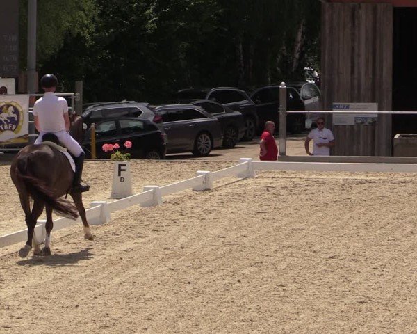 Reitturnier Uder, Reitanlage Kobold 2024