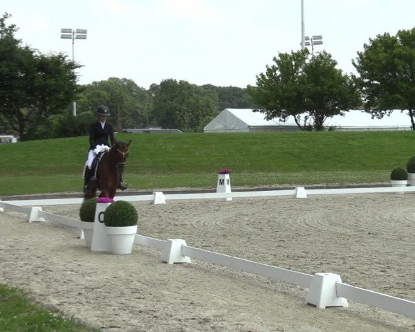 Reitturnier Langenfeld 2024