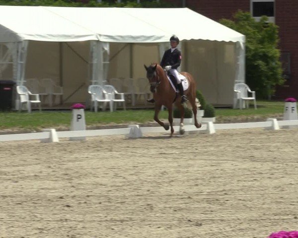Reitturnier Langenfeld 2024