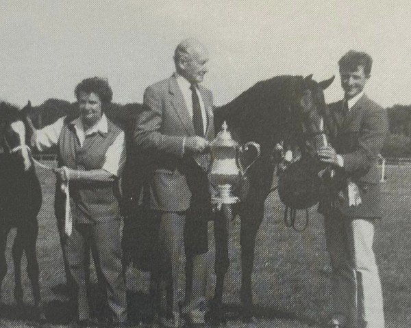 broodmare Boston Bodecia (Welsh-Pony (Section B), 1984, from Downland Mohawk) broodmare Boston Bodecia (Welsh-Pony (Section B), 1984, from Downland Mohawk)
