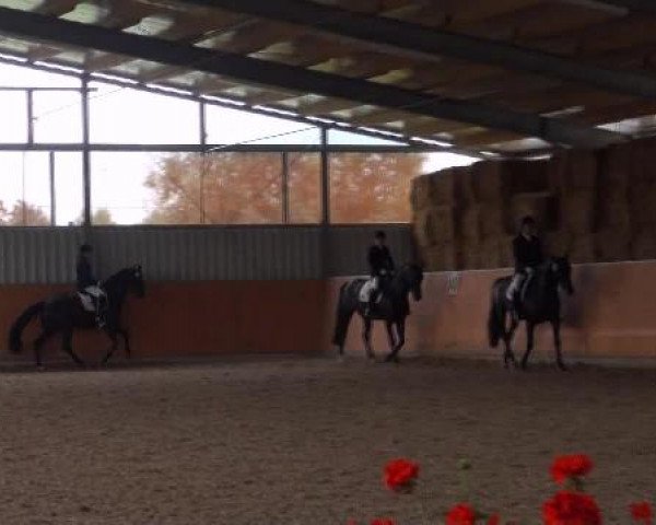St. Georg Marl 2012