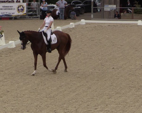 Reitturnier Uder, Reitanlage Kobold 2024